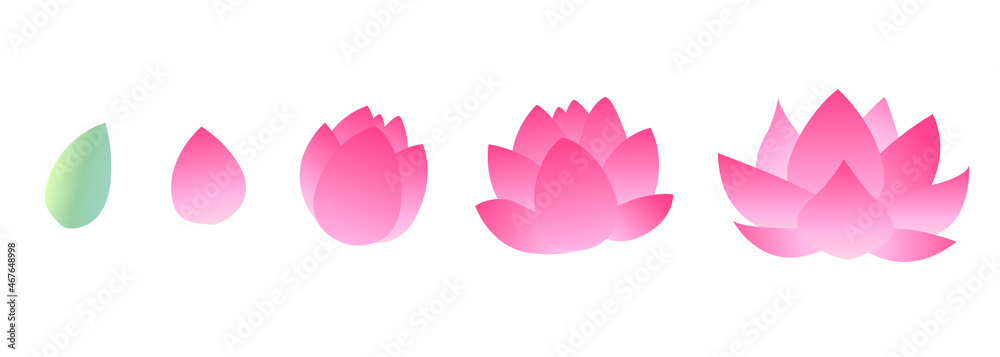 蓮の花のイラスト 蕾から開花までの成長過程セット
蓮の花のイラスト 蕾から開花までの成長過程セット