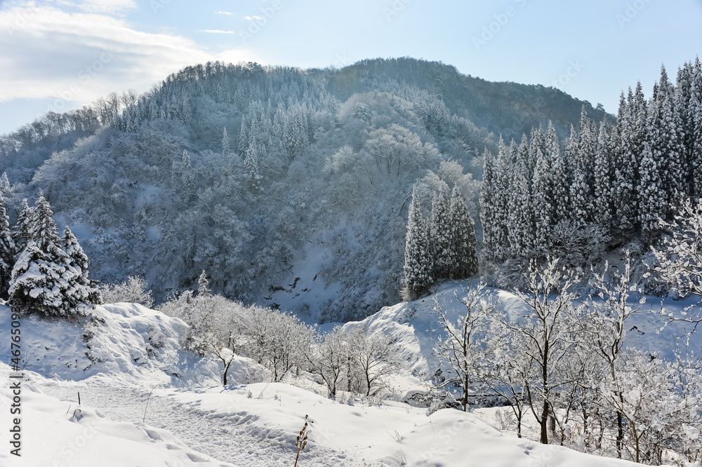 山岳の冬景色【長野県】