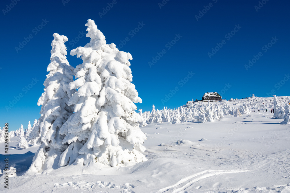 winter landscape with fluffy snow on fir tree with wooden hut in Giant mountains in Poland
