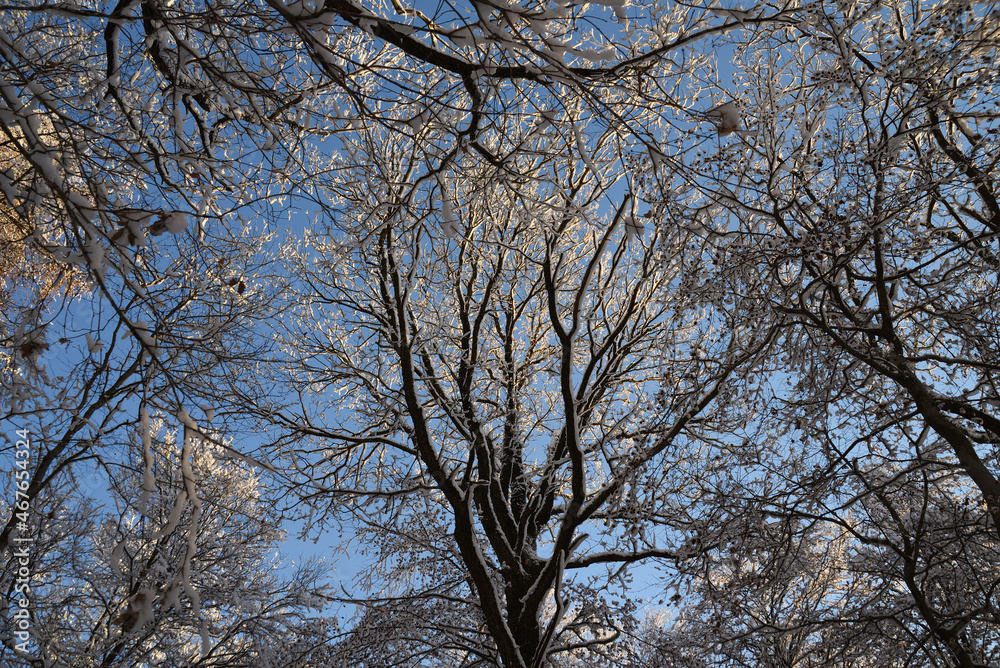 Winter Winter