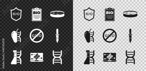 Set Shield for bio healthy food, Document, Petri dish with bacteria, DNA research, search, Genetic engineering modification, symbol, Genetically modified apple and No GMO icon. Vector