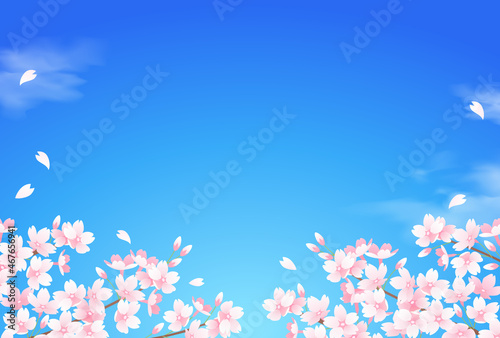 桜と青空の美しいベクターイラスト背景