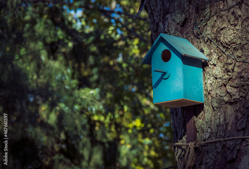 Billede på lærred Blue wooden birdhouse in the park.