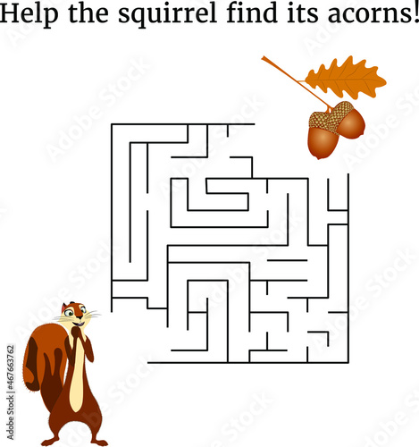 Maze game with squirrel. Labyrinth. Help the aquirrel find its acorns. Maze game for children. Vector illustration.
