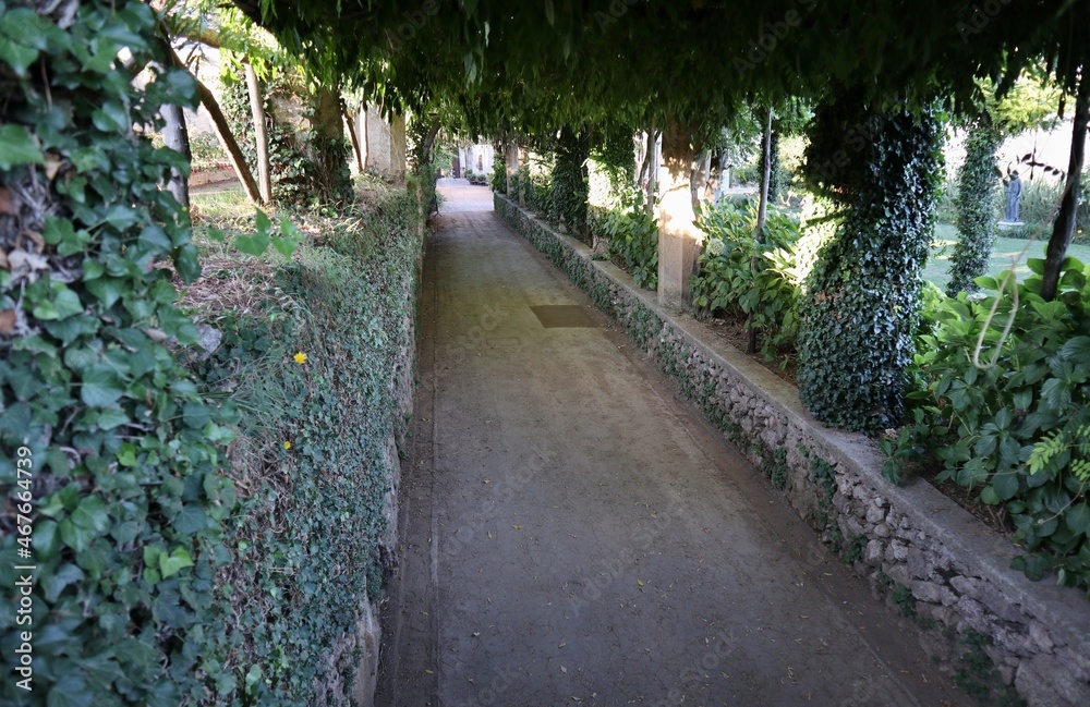 Ravello - Pergolato di Viale dell'immenso a Villa Cimbrone