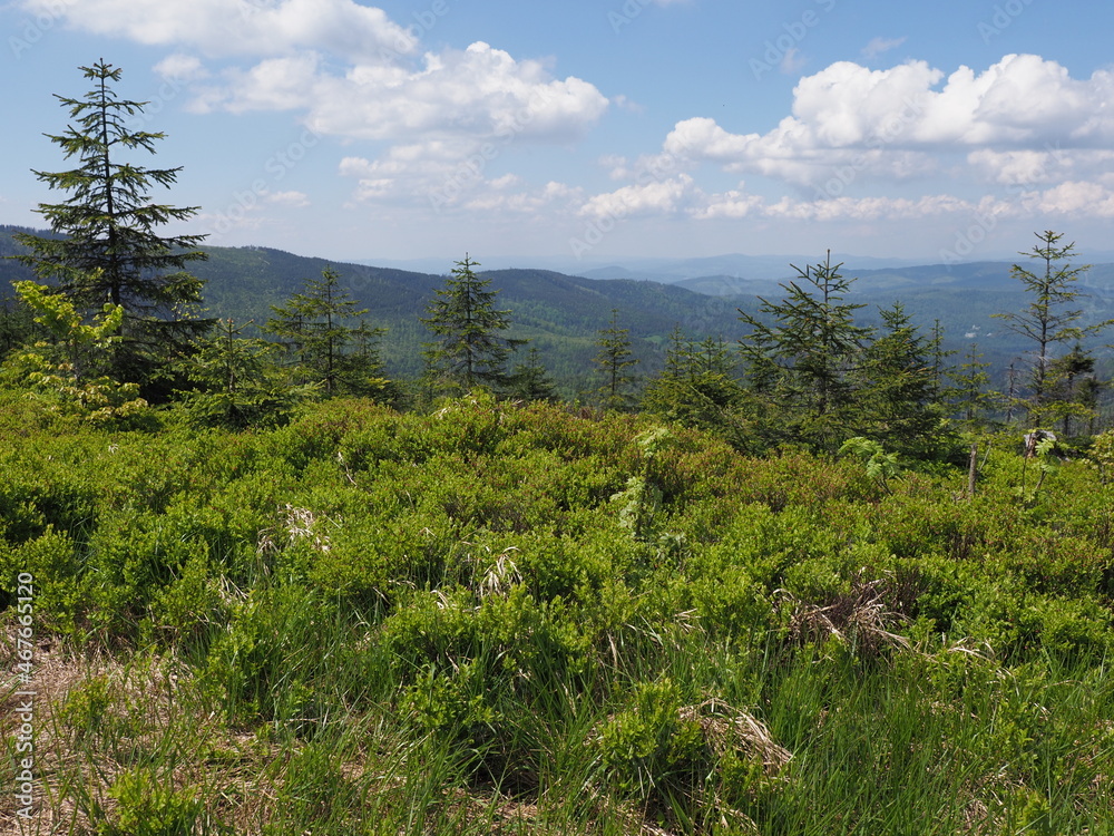 Obraz premium Beauty Silesian Beskids landscapes range near Salmopol pass in Poland