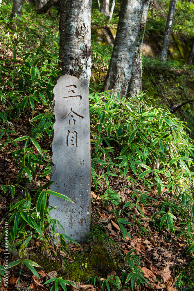 Φωτογραφία 日本百名山　男体山三合目