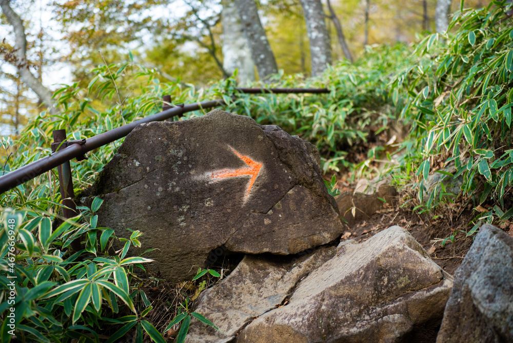 Obraz premium 日本百名山 男体山登山道の目印