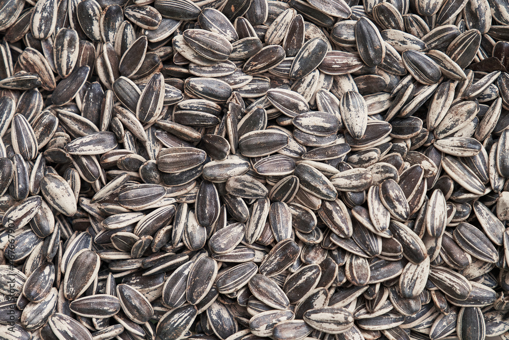 Beautiful sunflower seeds image