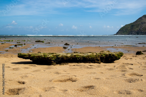 Lombok low tide with seaweed