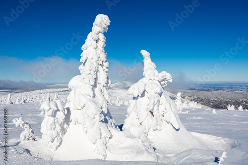 beautiful winter in Giant mountains during sunny day