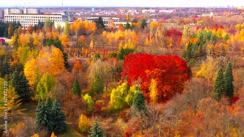 Autumn landscape. Arboretum them. Dokuchaev. 4K aerial photography. photo