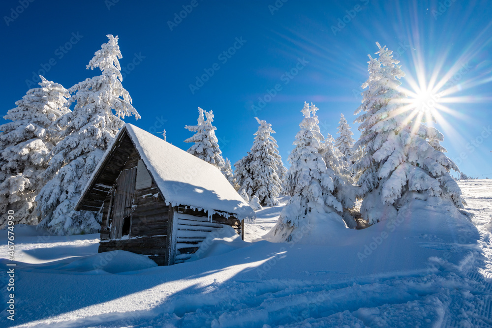 wooden hut in frozen fir forest with fluffy snow during winter sunny day