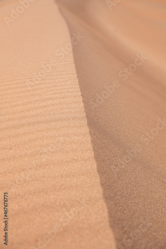 Sand shaping in the wind at Dune 45  Sossusvlei  Namibia.