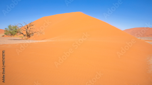 Breathtaking view of dune 45  Sossusvlei  Namibia.
