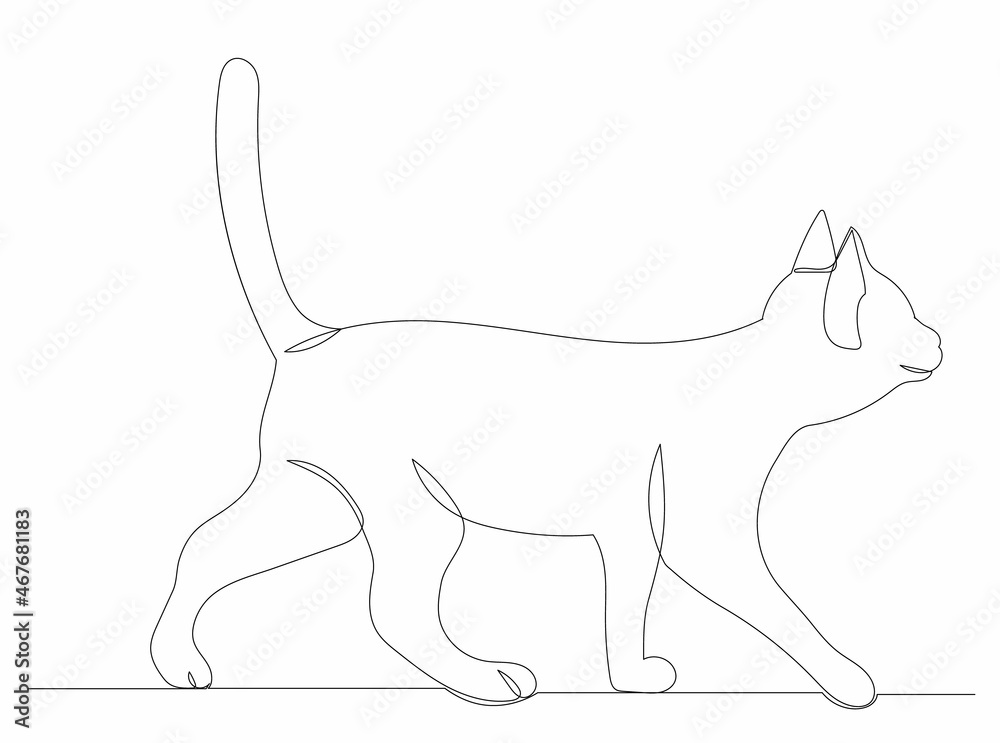 Obraz premium cat walking one line drawing isolated, vector