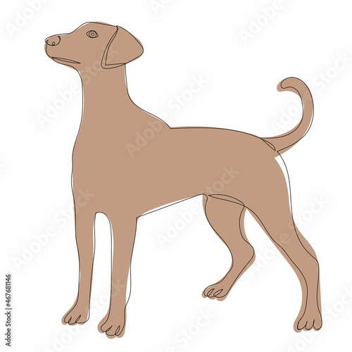 brown dog one line drawing isolated  vector