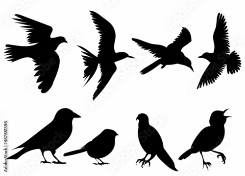 set of birds black silhouette, isolated, vector