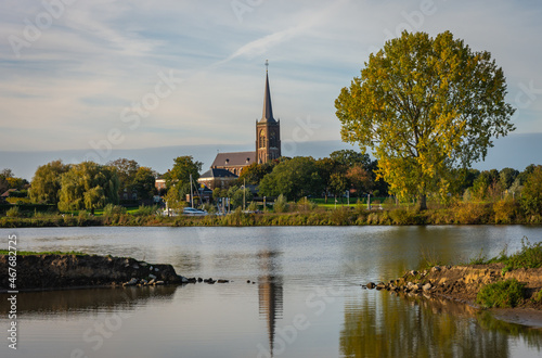 Church of Batenburg along the Meuse river next to old black poplar tree in the autumn