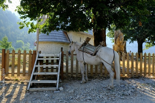 Scenery of famous mountain village Theth in Theth Valley in the mountains of Albanian Alps. Mule standing next to wooden fence of old stone church photo