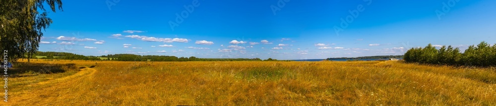 Summer landscape with dry yellow grass, shrubs, trees, river and blue sky with white clouds