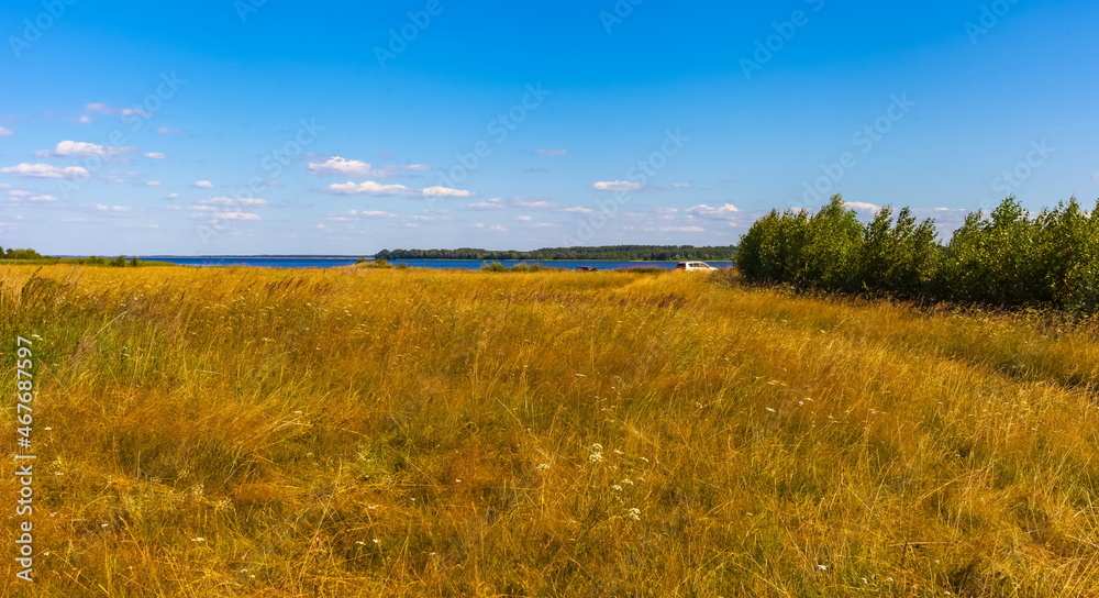 A summer landscape with a river, dry yellow grass, shrubs, trees and a blue sky with white clouds
