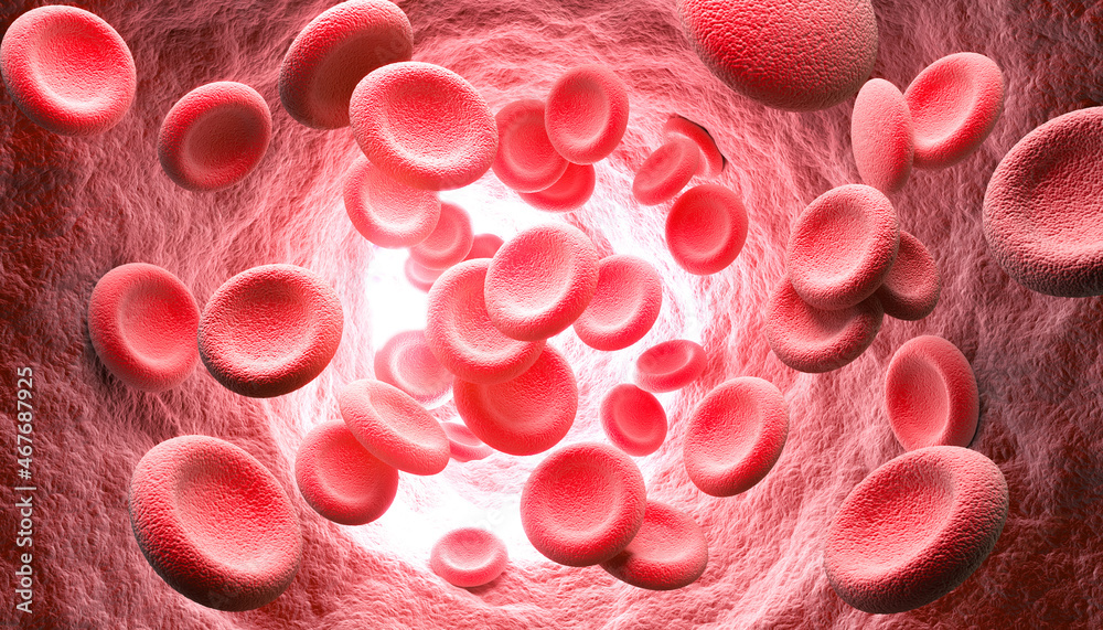 3d illustration of human red blood cells isolated on white background, concept for medical health care. 3d illustration of human red blood cells isolated on white background, concept for medical health care.