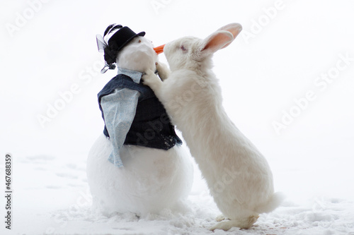 Obraz na plátne White rabbit and snowman
