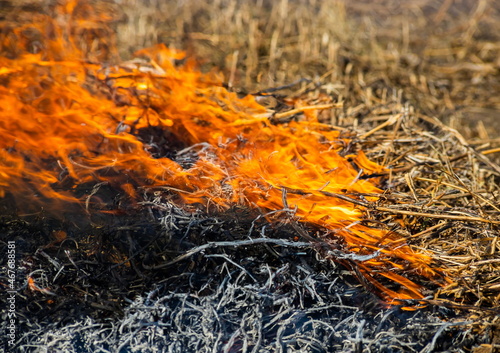 Close-up background of fire is rising from burning straw to black ash and smoke