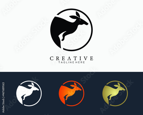 Set of colour kangaroo icon in circle line, logo design template