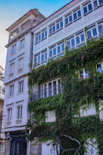 House overgrown with greenery on a street, Spain, Europe