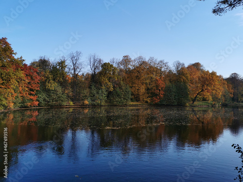 Autumn in the park. Trees with bright, colorful leaves grow around the pond and are reflected in its water..