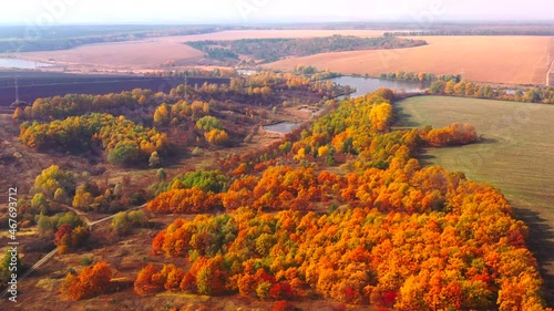 Autumn landscape. Arboretum them. Dokuchaev. 4K aerial photography. photo