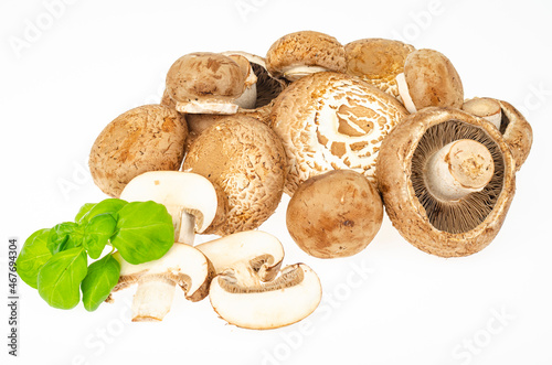 Bunch of fresh brown cultivated champignon mushrooms isolated on white background. Studio Photo
