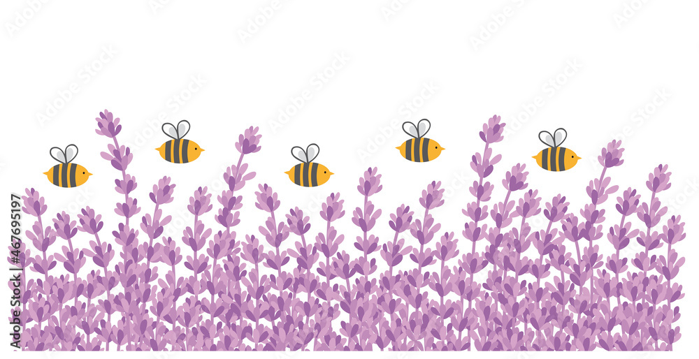 Bienen fliegen über Lavendelfeld - obrazy, fototapety, plakaty 