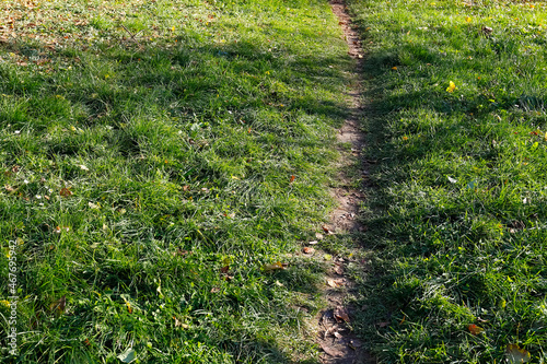 The path passes through the lawn