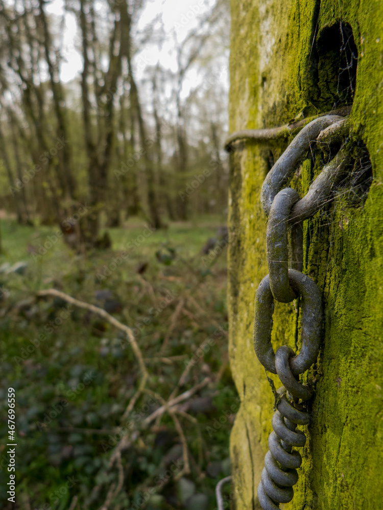 Chaine en métal sur poteau en foret Chaine en métal sur poteau en foret