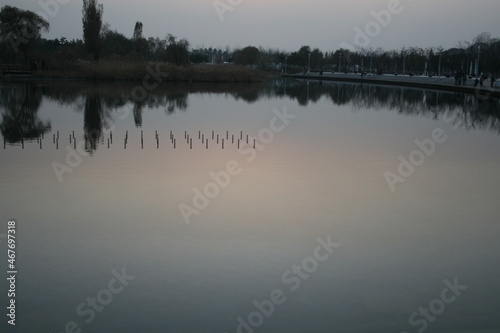 morning on the lake