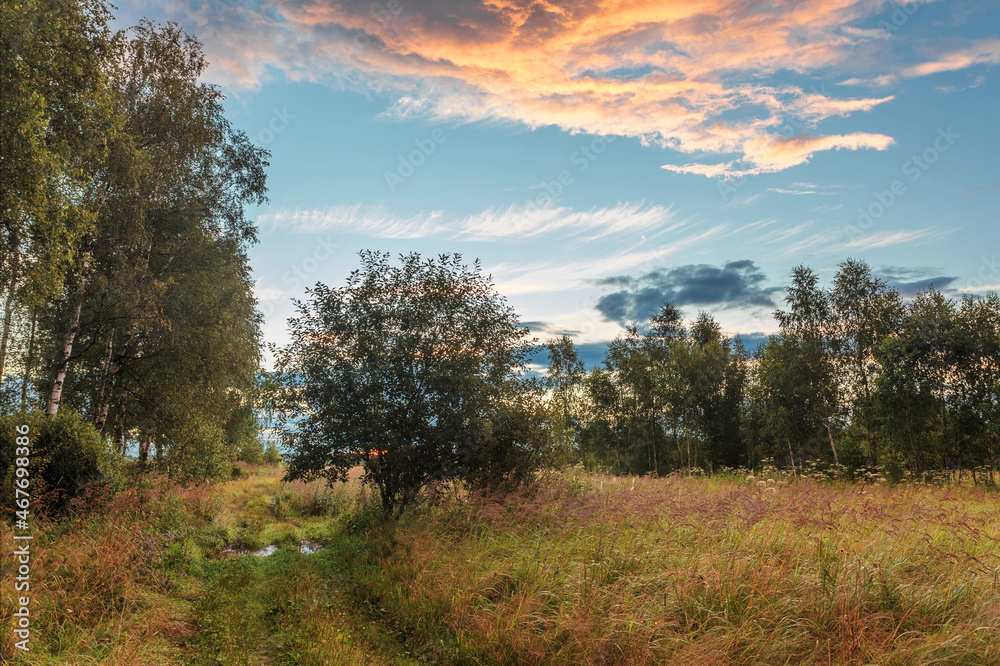 Path in a summer field in sunset time Path in a summer field in sunset time