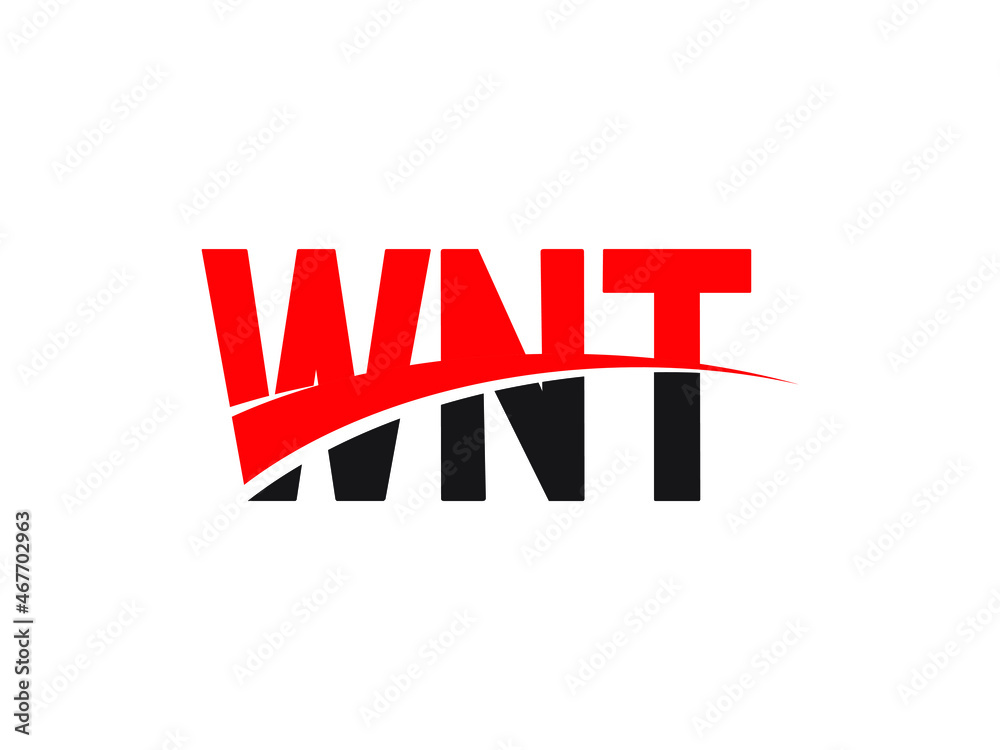 WNT Letter Initial Logo Design Vector Illustration