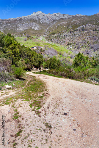 Camino del Horcajo en la Sierra de Gredos. España. Europa.