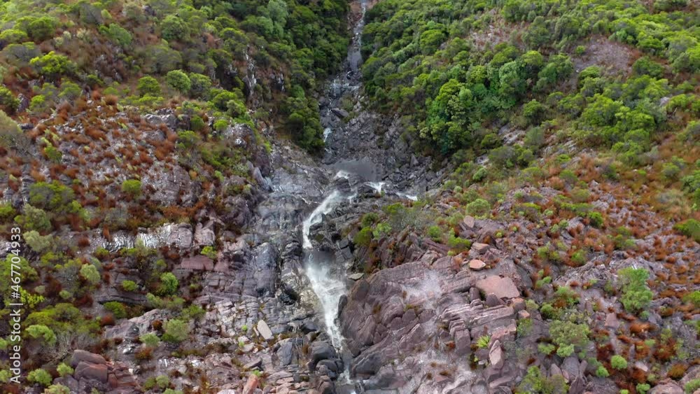 Tasmania nature and wildlife. Scenic waterfall in Australia wilderness Tasmania nature and wildlife. Scenic waterfall in Australia wilderness