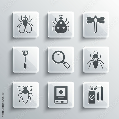 Set Book about insect, Pressure sprayer, Ant, Magnifying glass, Cockroach, Fly swatter, Insect fly and Dragonfly icon. Vector