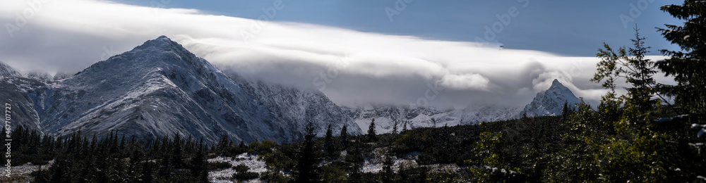 Fototapeta premium snow-capped peaks of mountain ranges, panorama, incredible wildlife