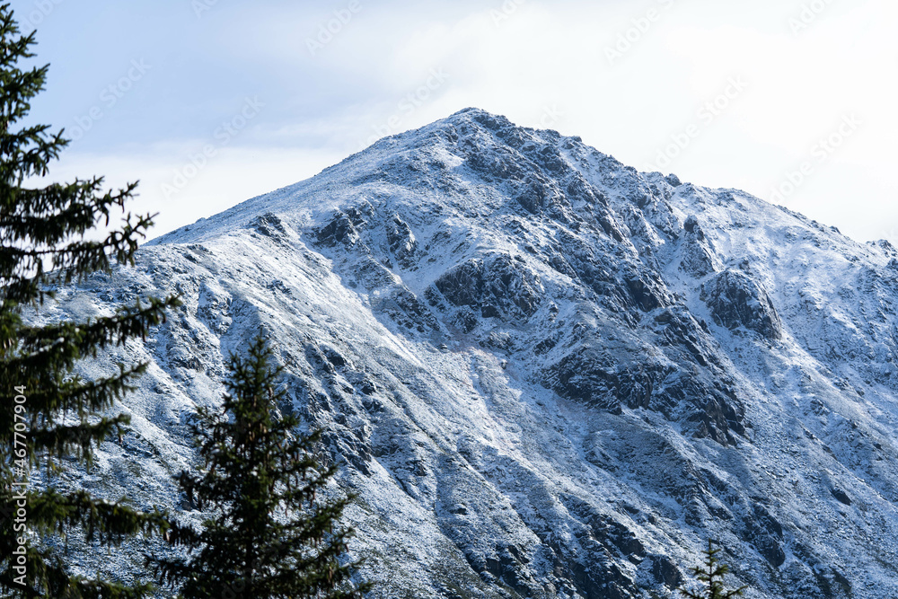 Obraz premium incredibly beautiful peaks of snow-capped mountains, incredible wildlife