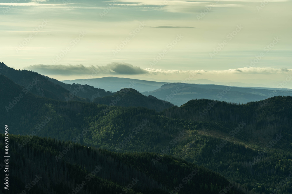 beautiful mountain valleys overgrown with greenery, incredible wildlife beautiful mountain valleys overgrown with greenery, incredible wildlife
