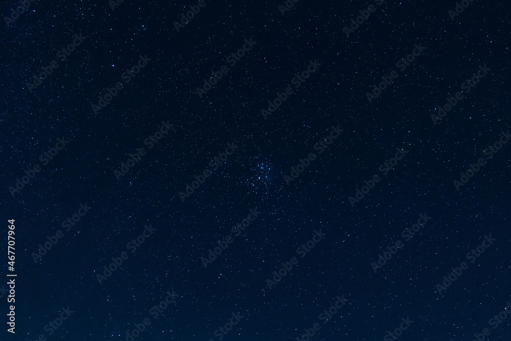 incredibly beautiful starry sky, amazing wildlife, incredible wildlife