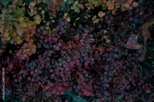 background of bubbles