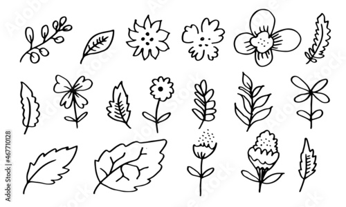 a collection of hand-drawn flower images such as bellflower, chrysanthemums, sunflowers, cotton flowers, and tropical leaves