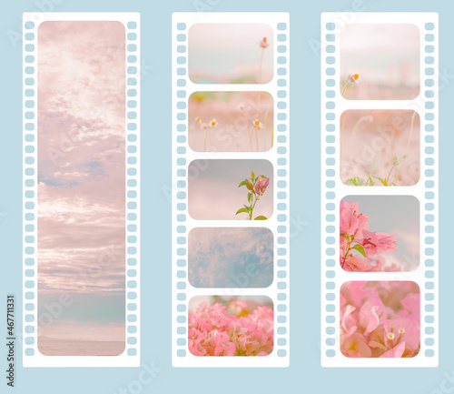 Digital frame set of the film strip in white color with pastel flower and sky photo.